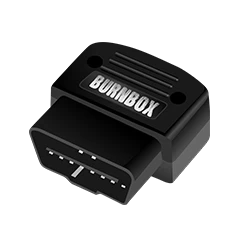 BurnBox Hellcat