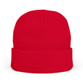 Knit Beanie (Embroidery)
